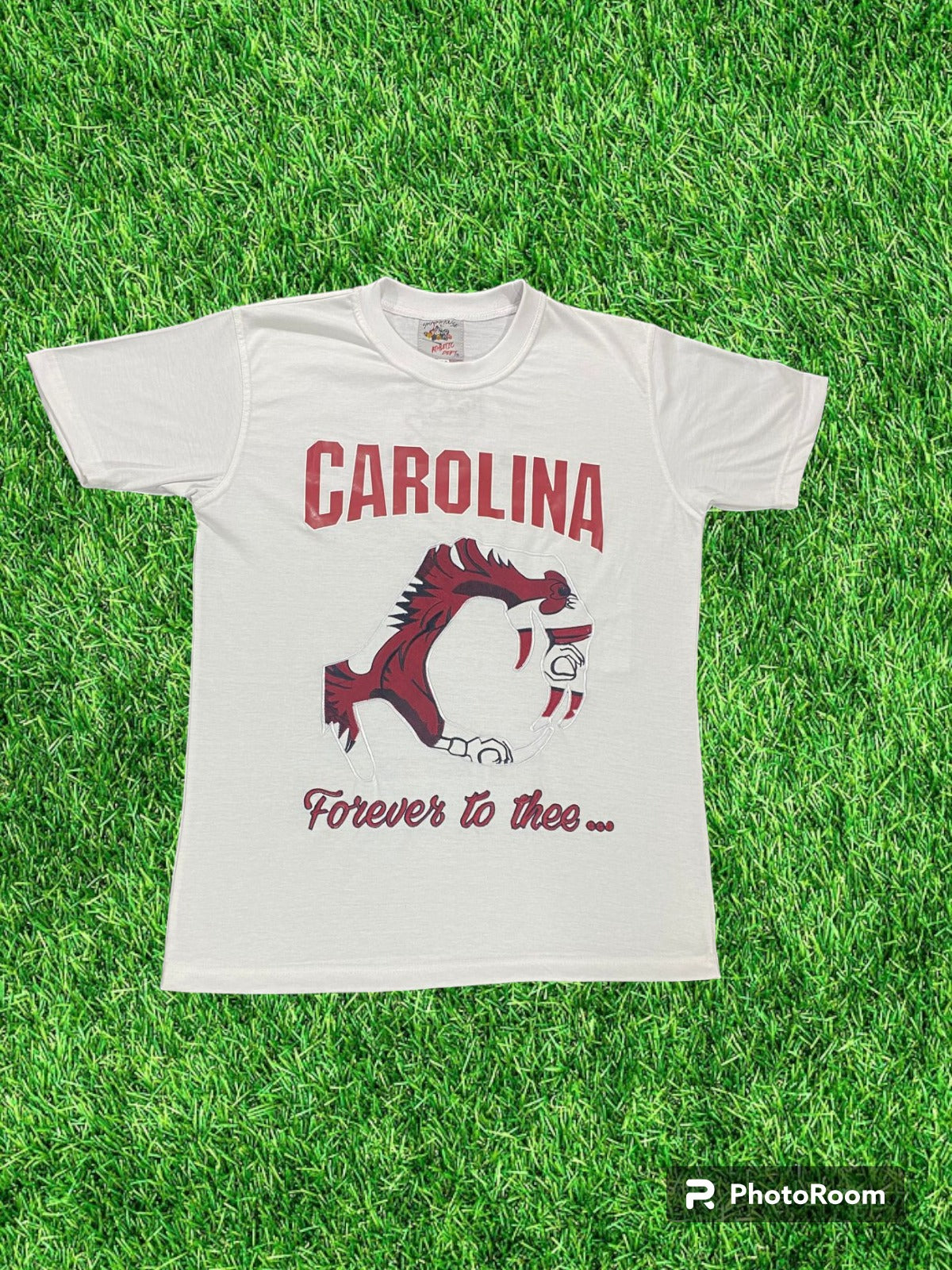 CAROLINA GAMECOCK #1 FAN  (FOREVER TO THEE) LIMITED EDITION T-SHIRT